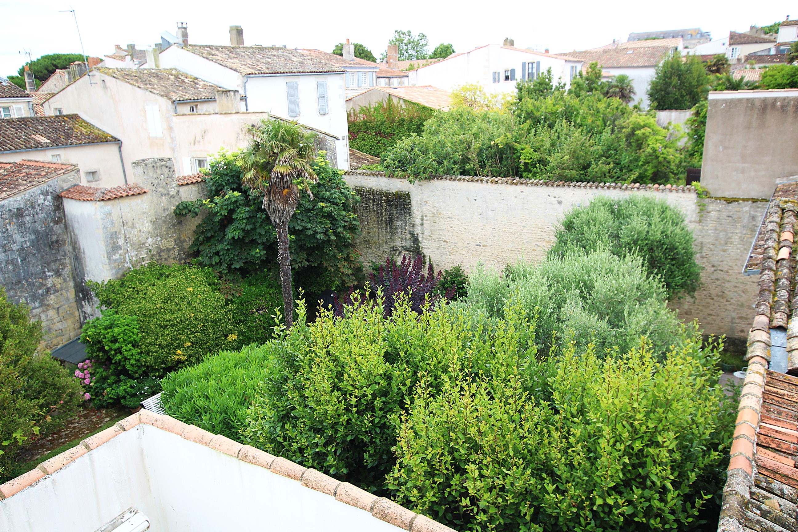 Qovop Immobilier | Achat Studio 19 m² - 17410 Saint-Martin-de-Ré