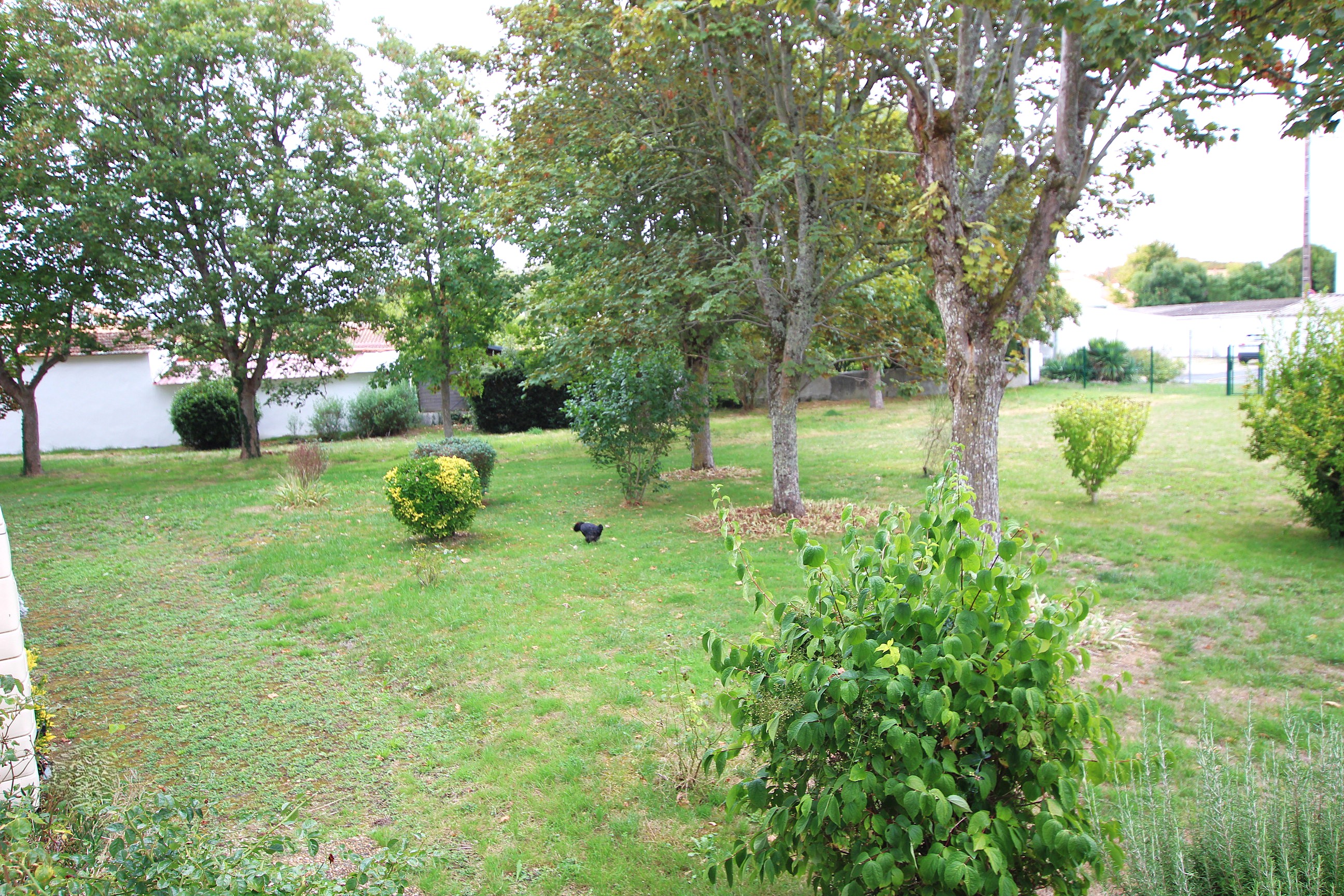 Qovop Immobilier | Achat Appartement 57 m² - 17000 la rochelle